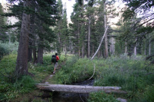 Towards Finger Lake