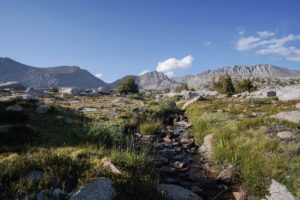 Upper Basin - below Mather Pass