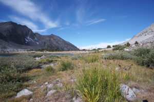 Baxter Lakes